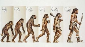 Evolution Research Paper Topics