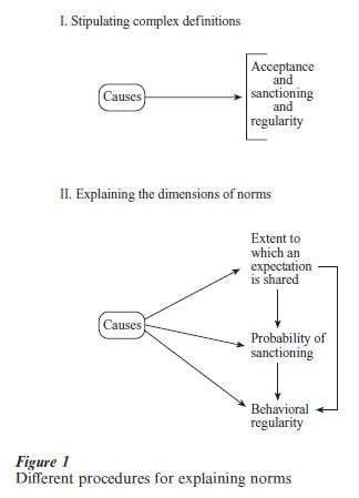 norms definition in research paper