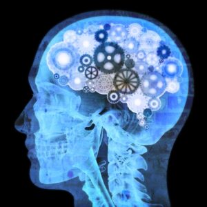 Cognitive Psychology Research Paper Topics - iResearchNet